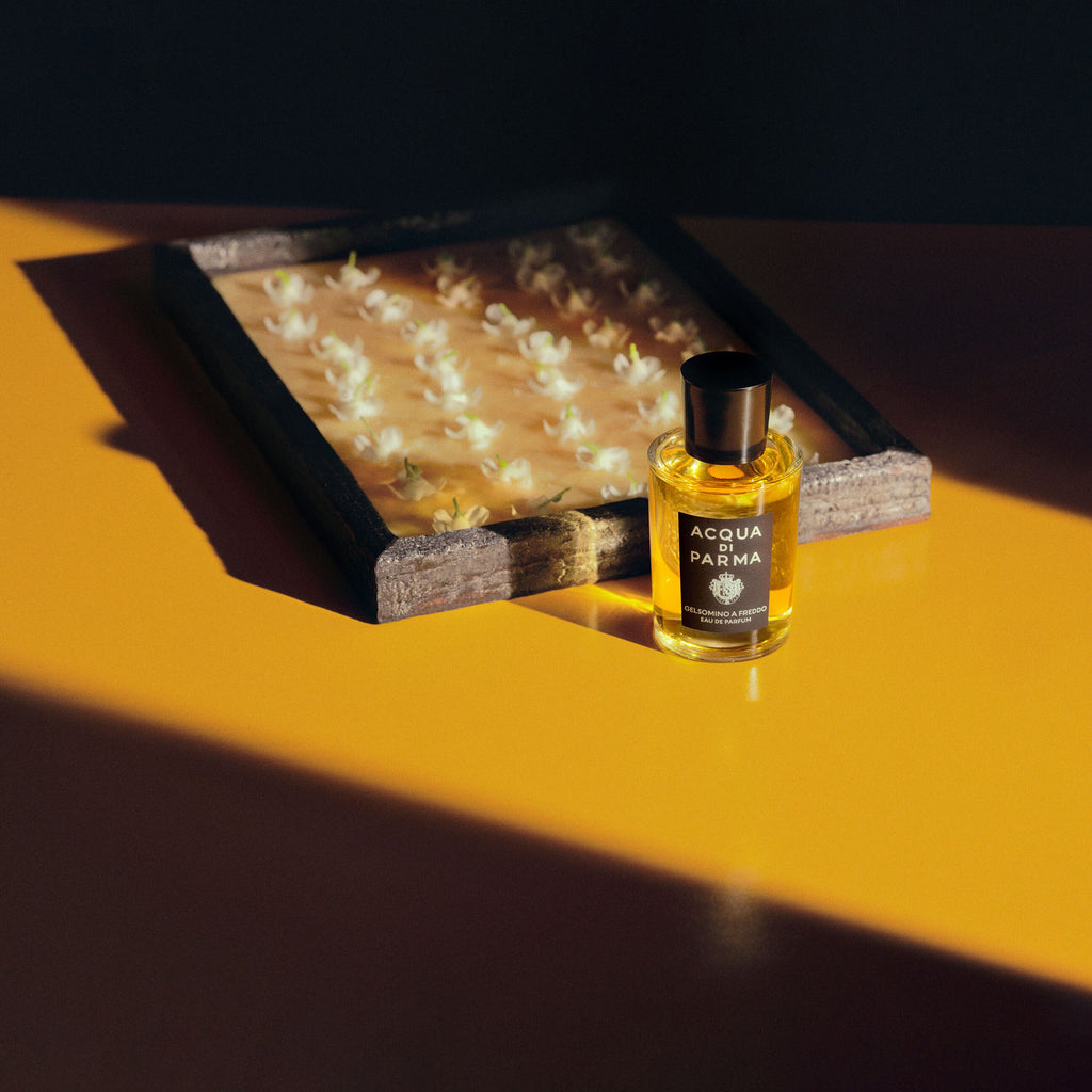 ACQUA DI PARMA Gelsomino A Freddo Edp