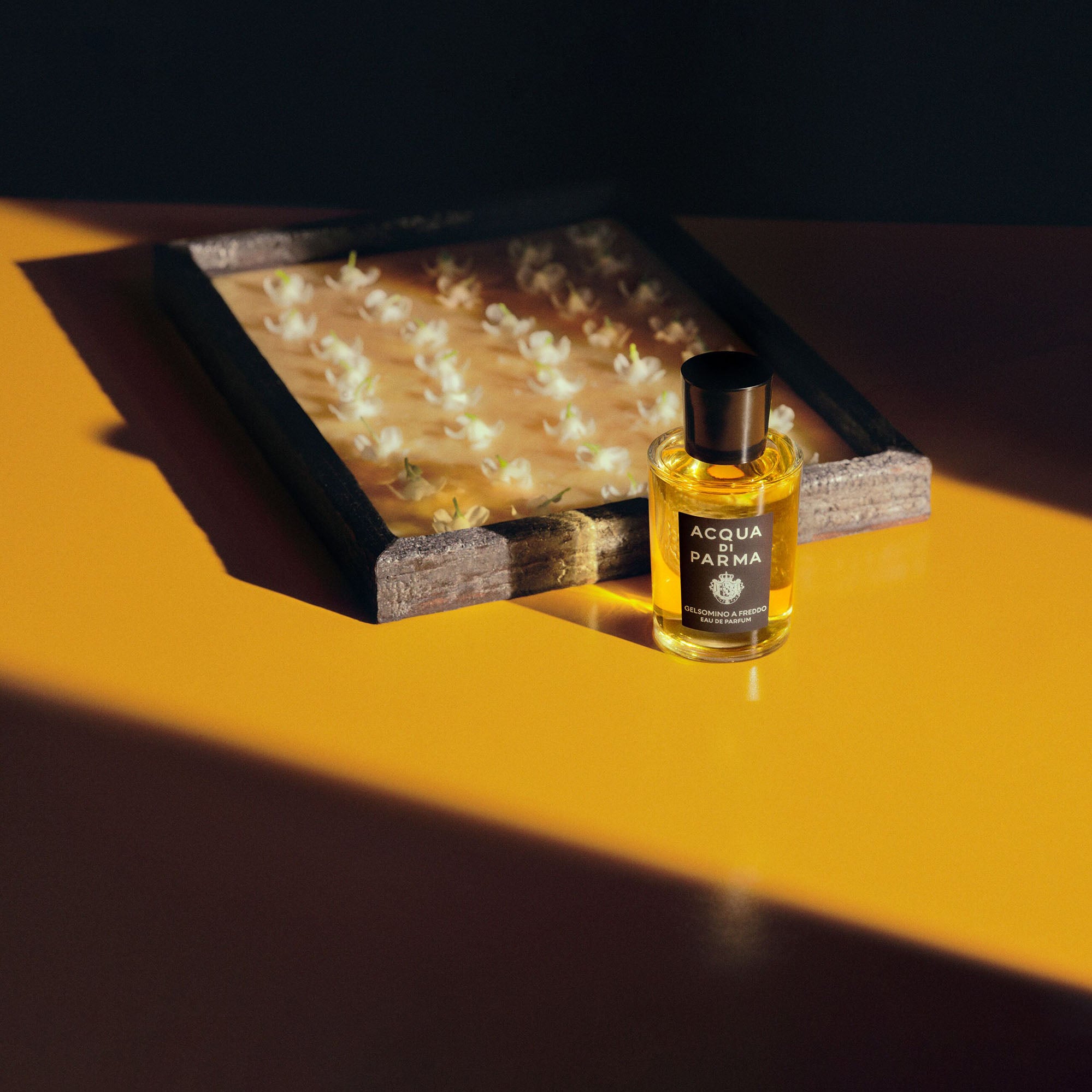 ACQUA DI PARMA Gelsomino A Freddo Edp