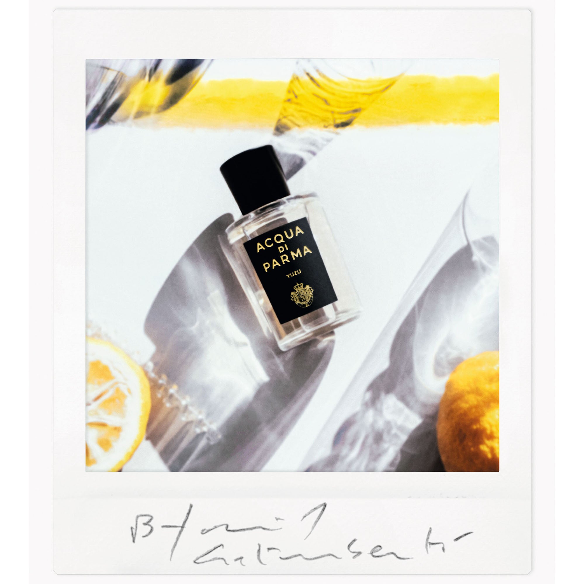 ACQUA DI PARMA Signature Yuzu
