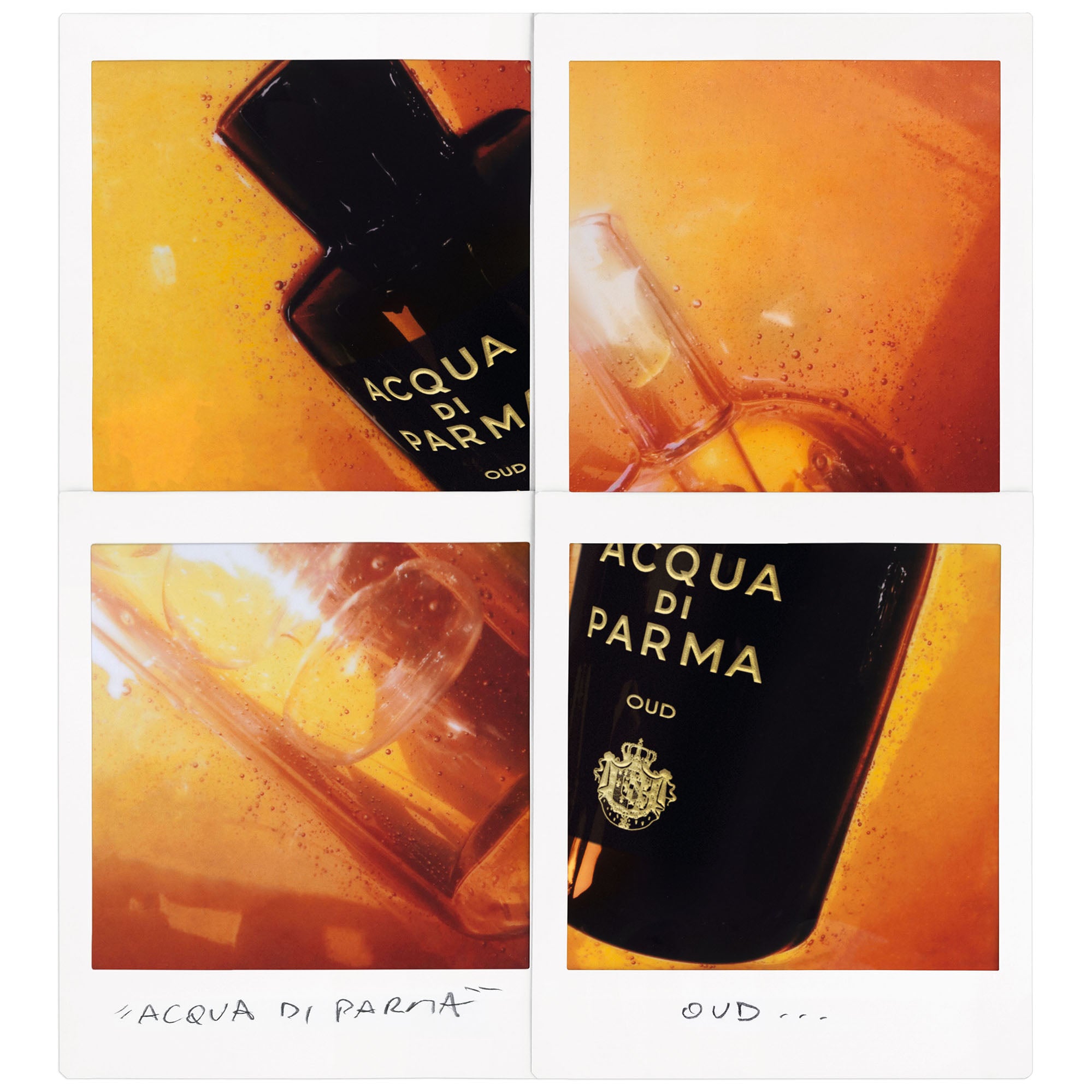 ACQUA DI PARMA Signature Oud