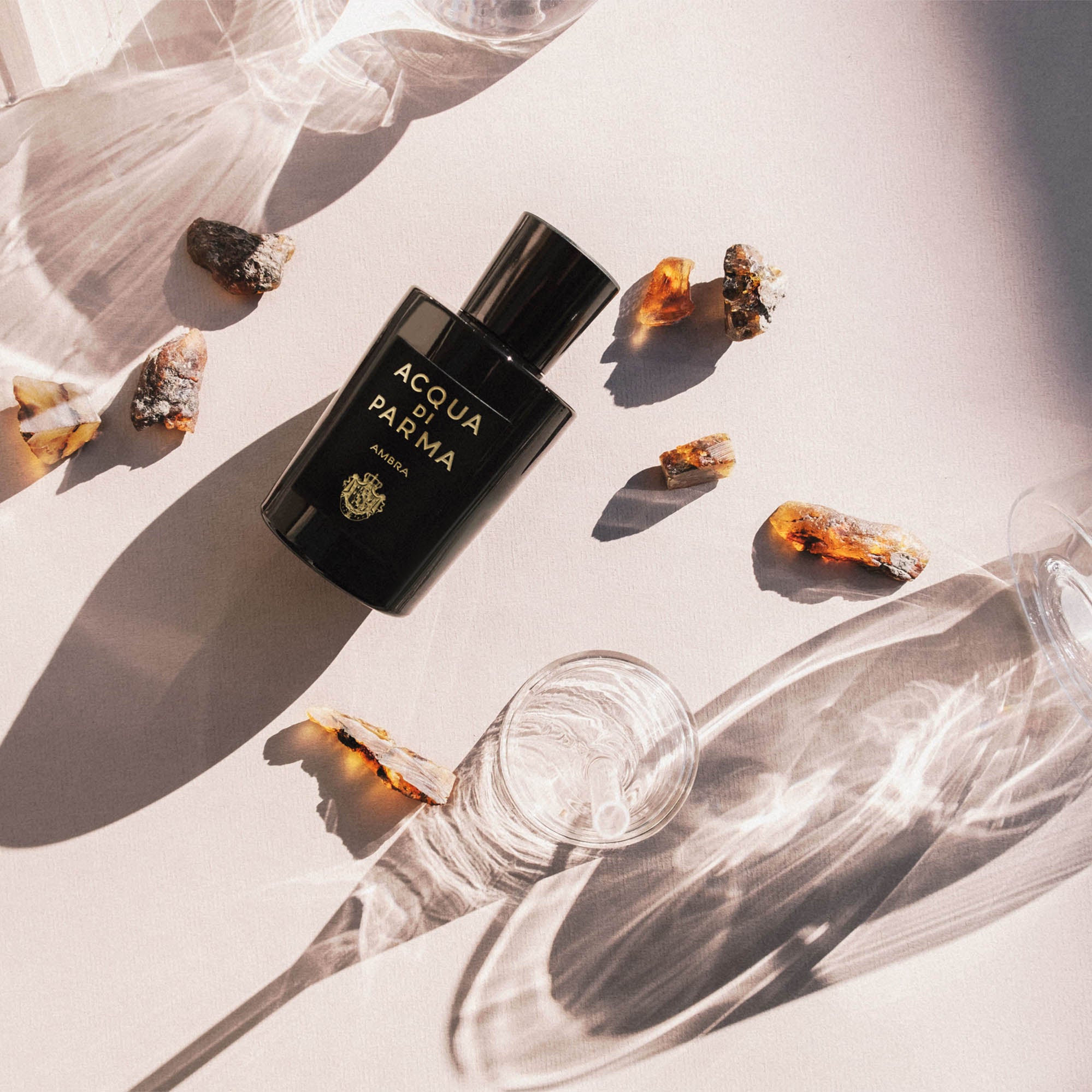 ACQUA DI PARMA Signature Ambra