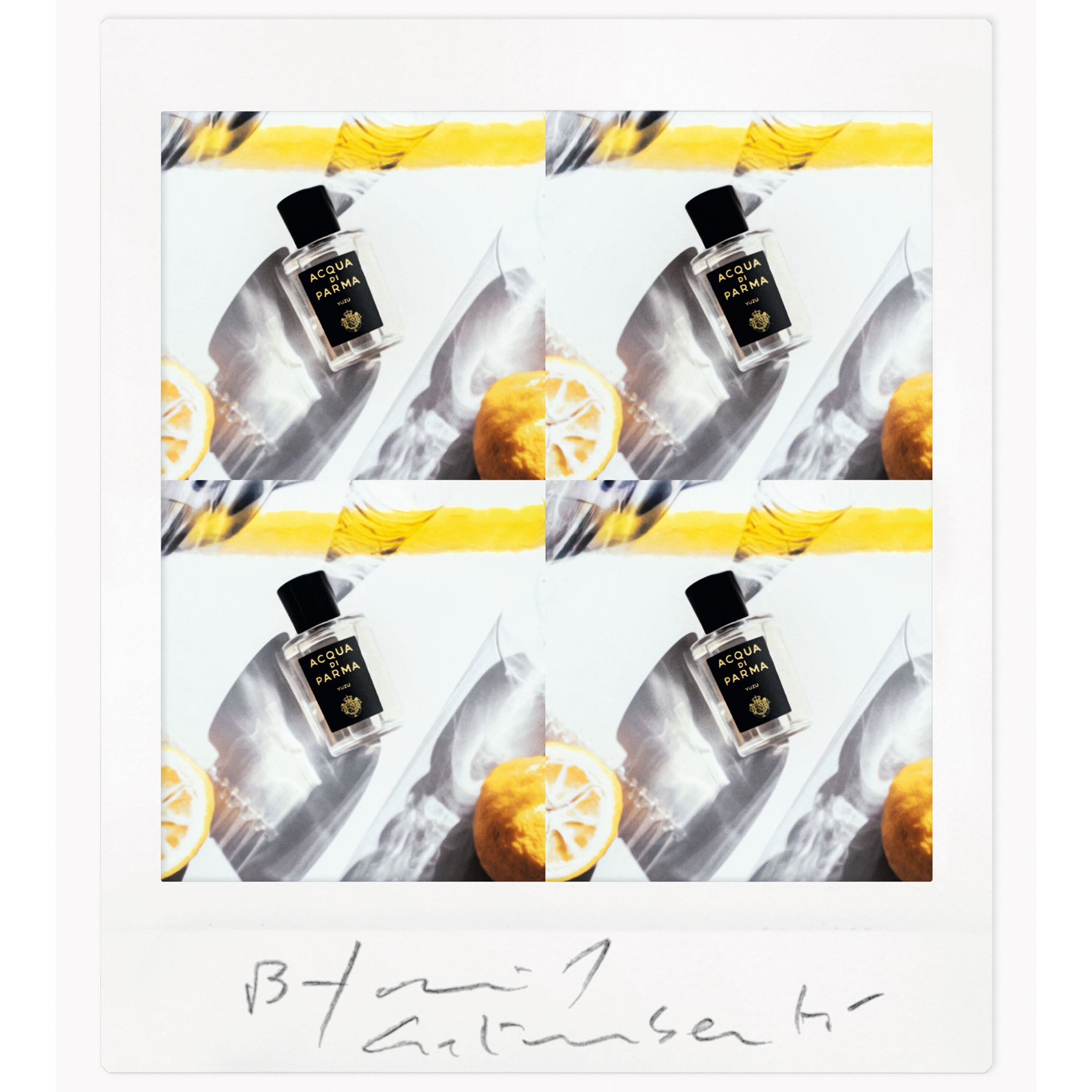 ACQUA DI PARMA Signature Yuzu