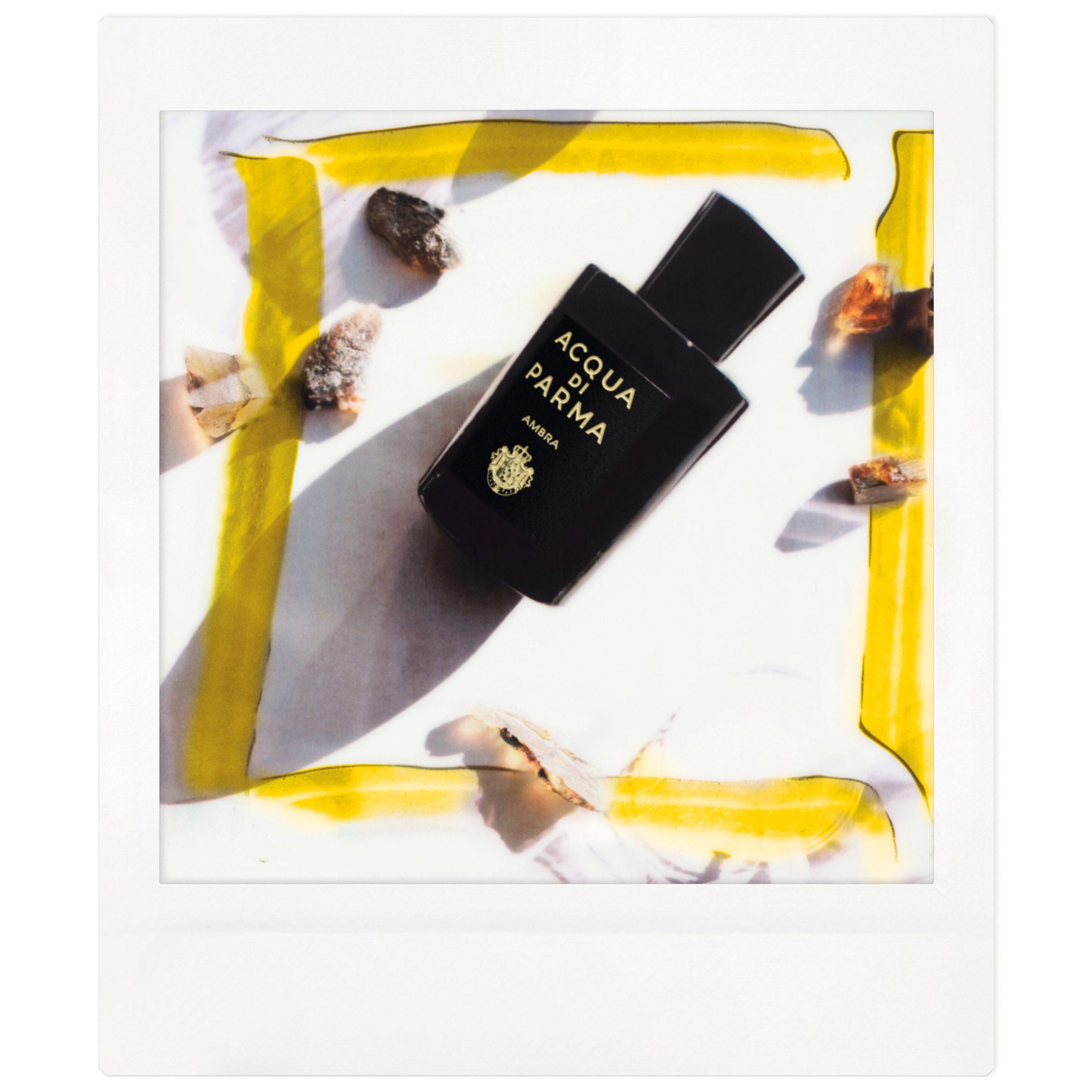 ACQUA DI PARMA Signature Ambra