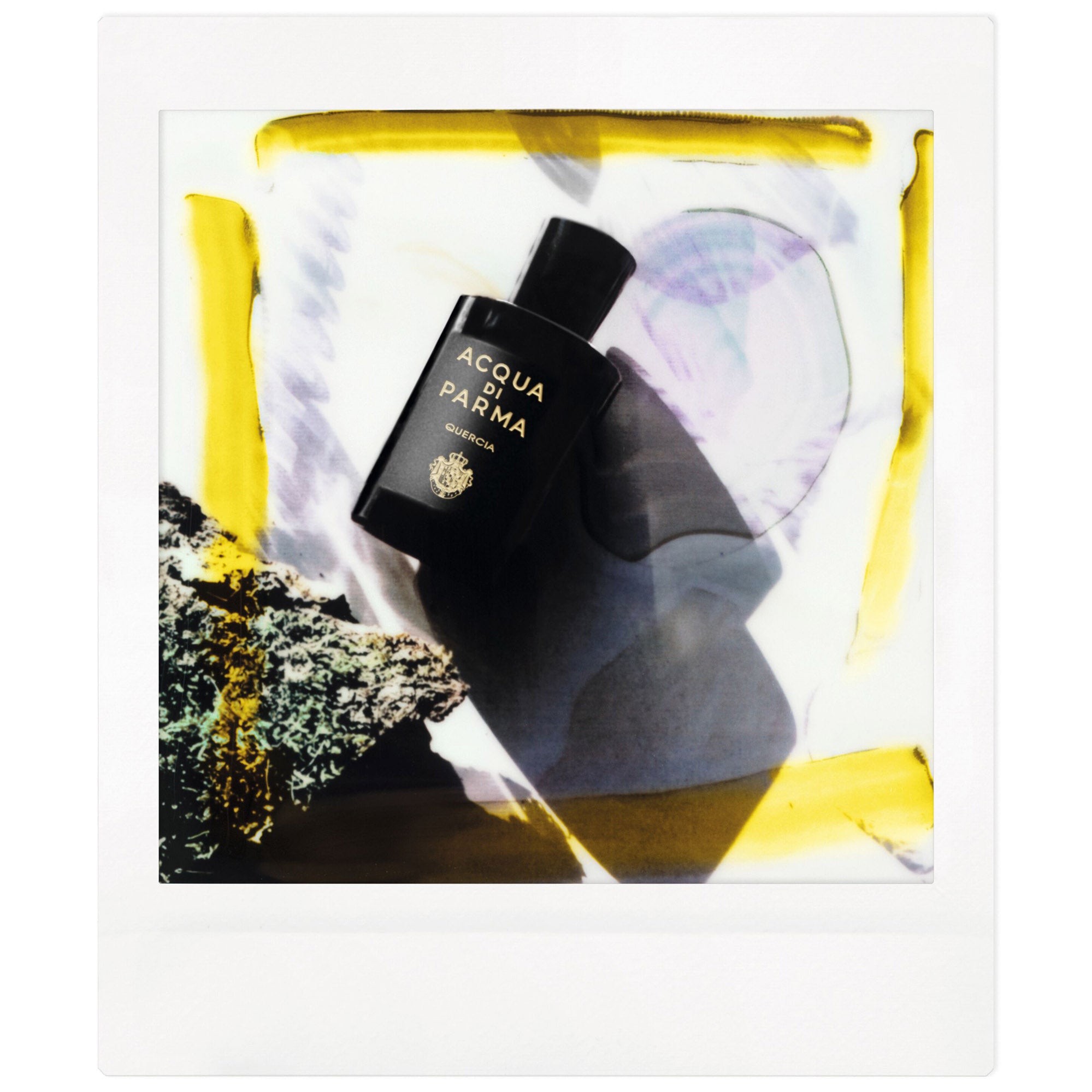 ACQUA DI PARMA Signature Quercia