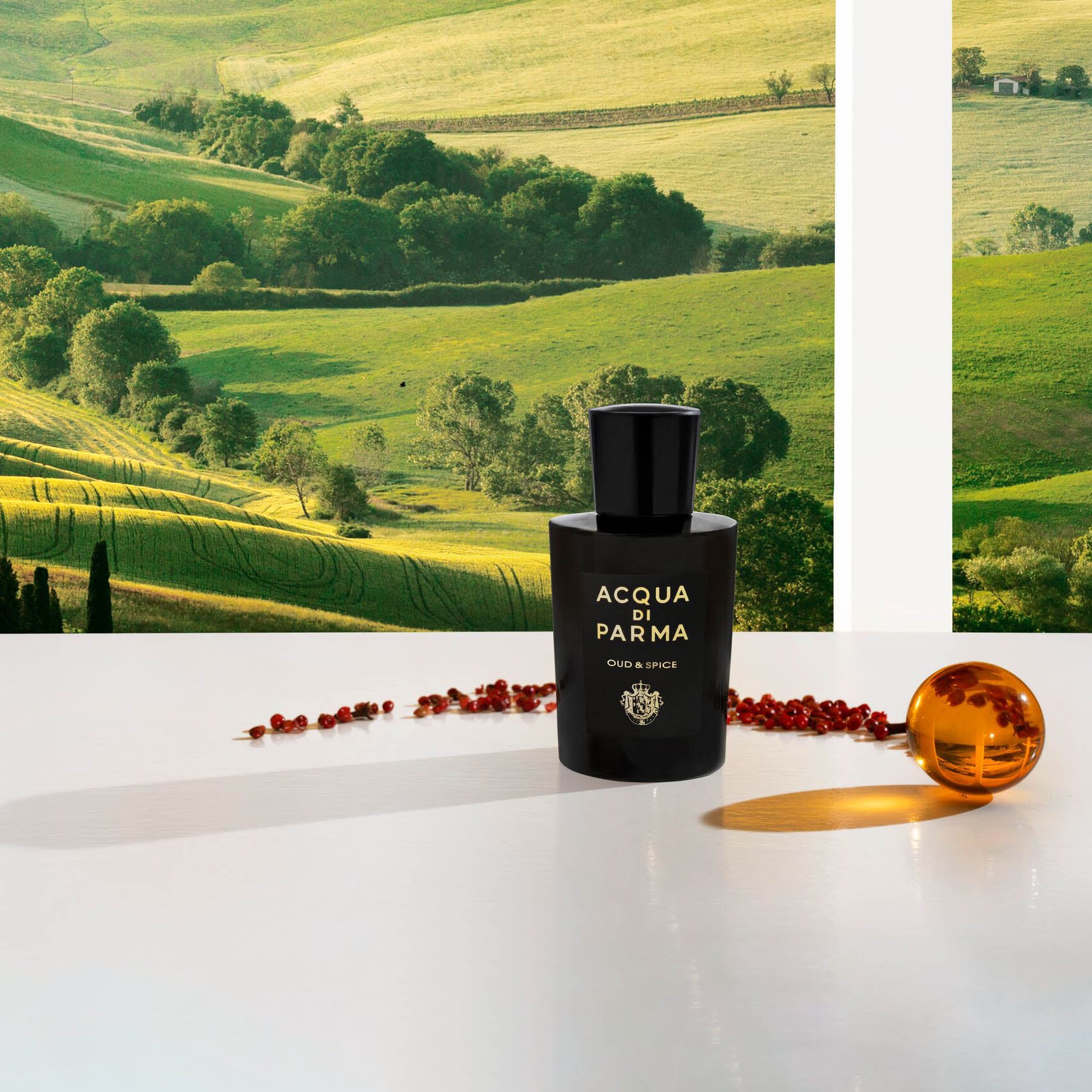 ACQUA DI PARMA Signature Oud & Spice