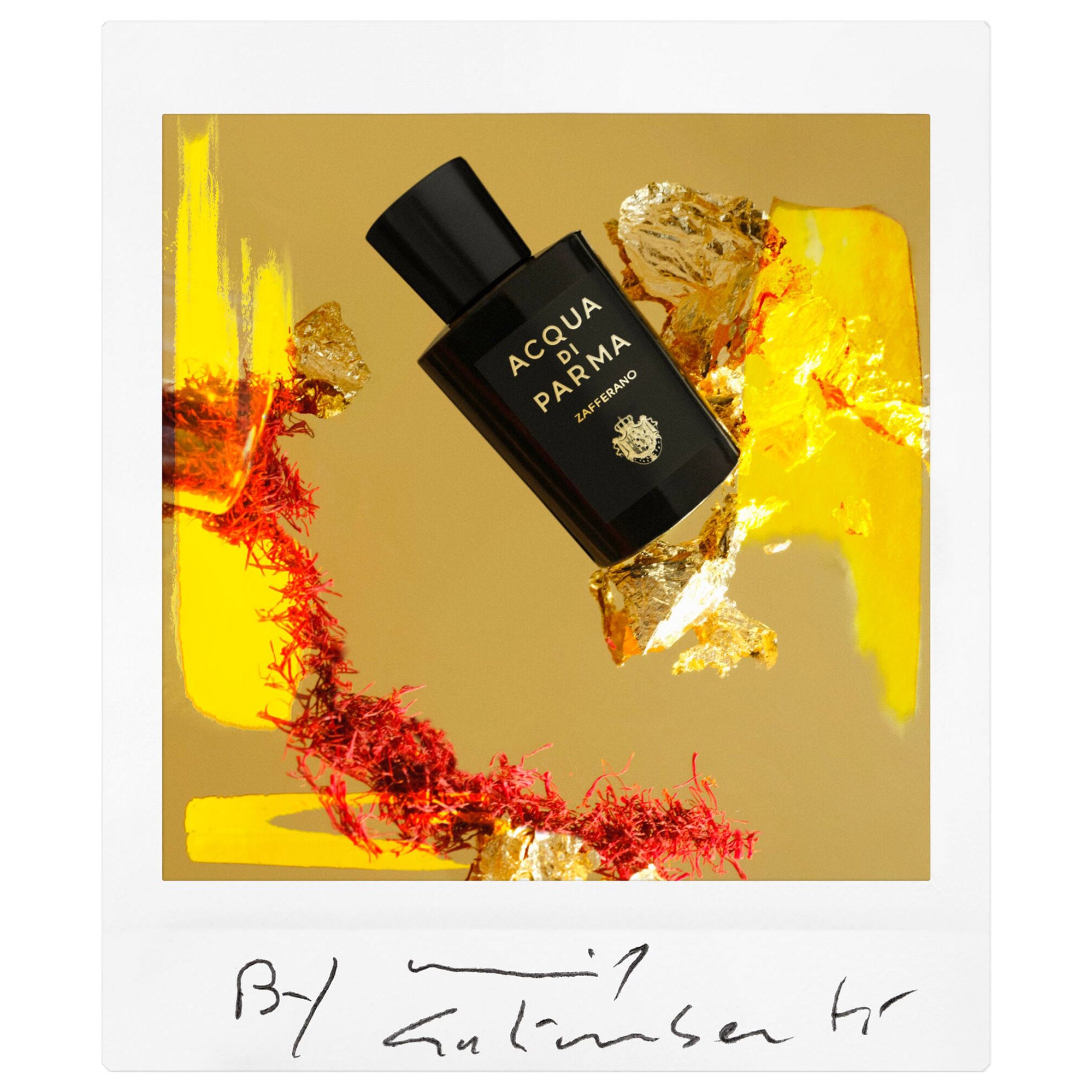ACQUA DI PARMA Signature Zafferano
