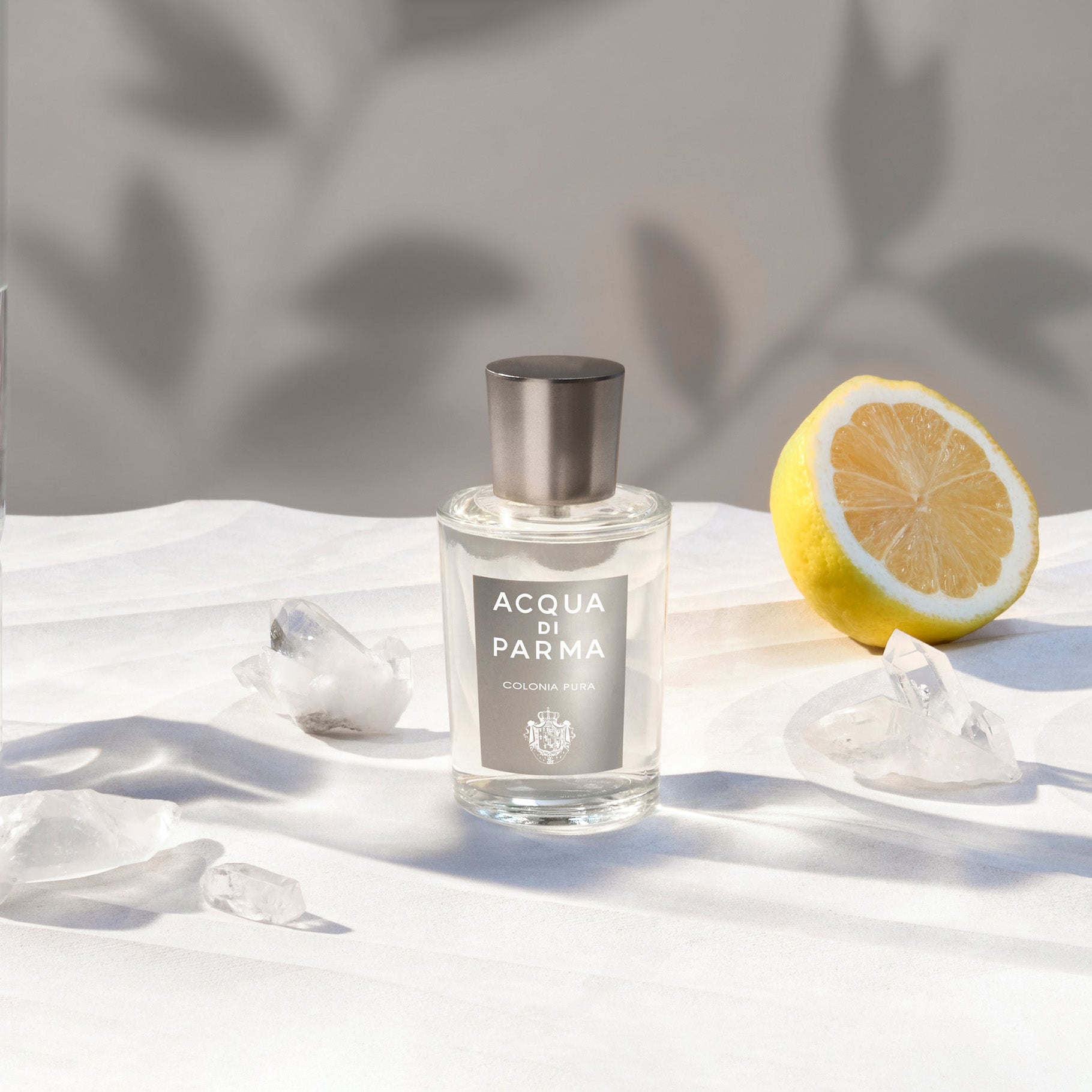 ACQUA DI PARMA Colonia Pura
